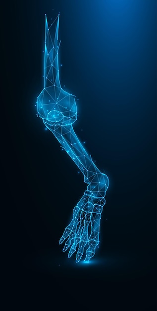 Vector polygonal vector illustration of leg bones on a dark blue background knee and ankle joint polygon design