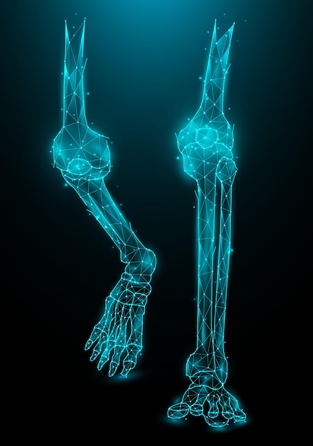 Vector polygonal vector illustration of leg bones on a dark blue background knee and ankle joints polygon design