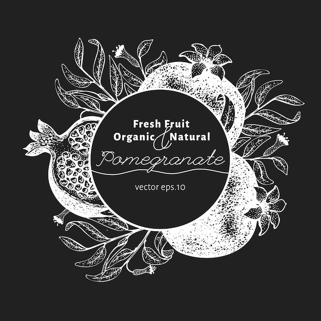 Pomegranate fruit design template. Hand drawn vector fruit illustration on chalk board. Vintage botanical background.