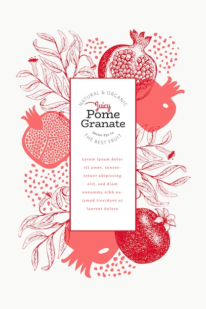 Pomegranate fruit  template. Hand drawn  fruit illustration. Engraved style vintage botanical frame.