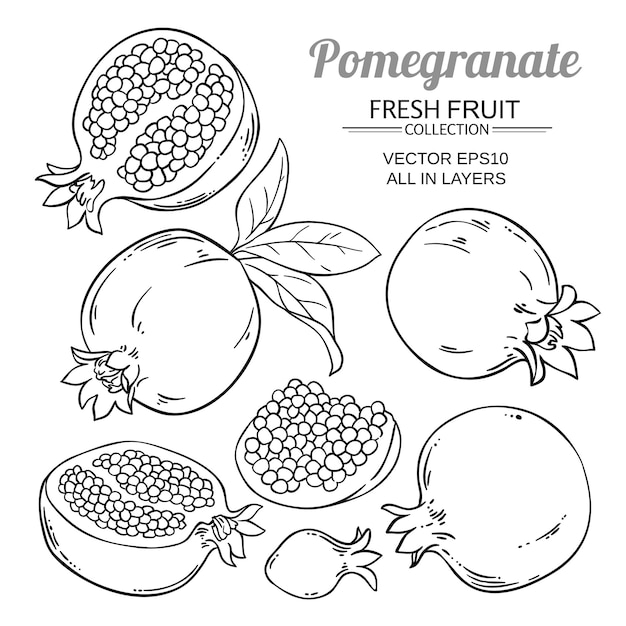 Pomegranate fruits vector set