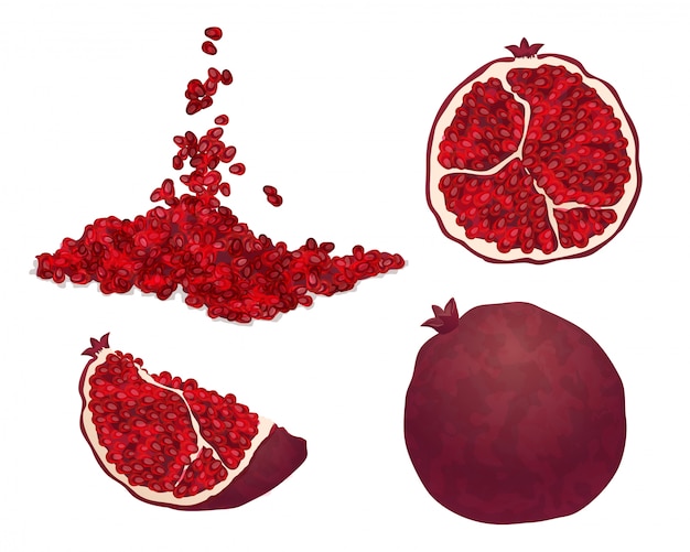 Pomegranate icons set