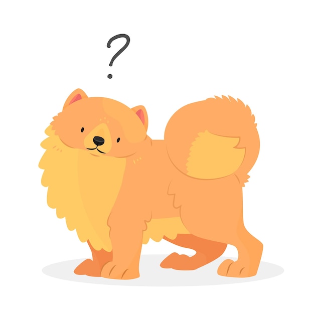 A pomeranian spitz dog with a question mark Dog question An uncomprehending dog with its head tilted