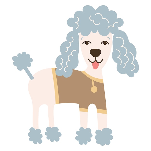 Poodle Dog Breed on isolated background Vector illustration