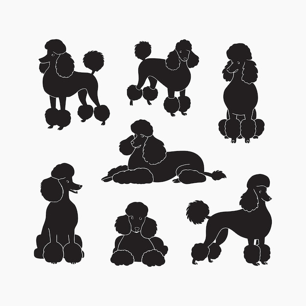 Vector poodle dog silhouette set animals vector template