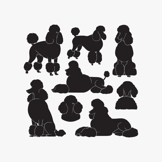 Vector poodle dog silhouette set animals vector template