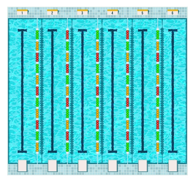 Vector pool swim lanes top view empty water surface