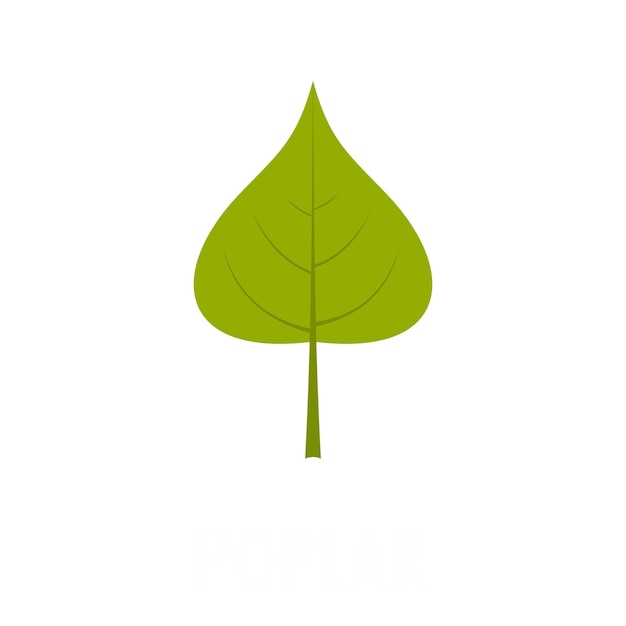 Poplar leaf icon Flat illustration of poplar leaf vector icon isolated on white background