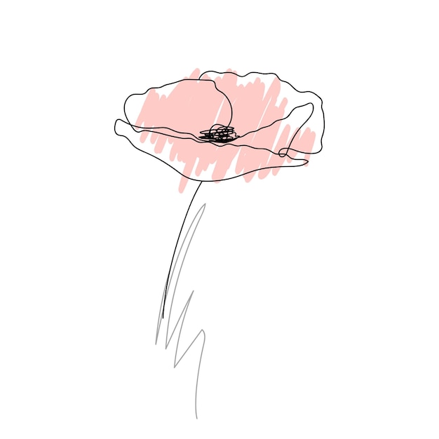 Poppies flower continuous line drawing Abstract minimal poppy