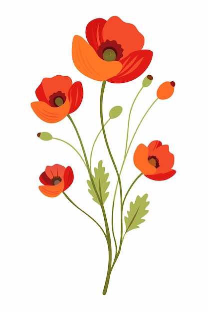 Vector poppy branch with beautiful flowers on a clean white background for elegant and artistic design