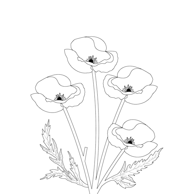 poppy Flower Coloring Page For Adults