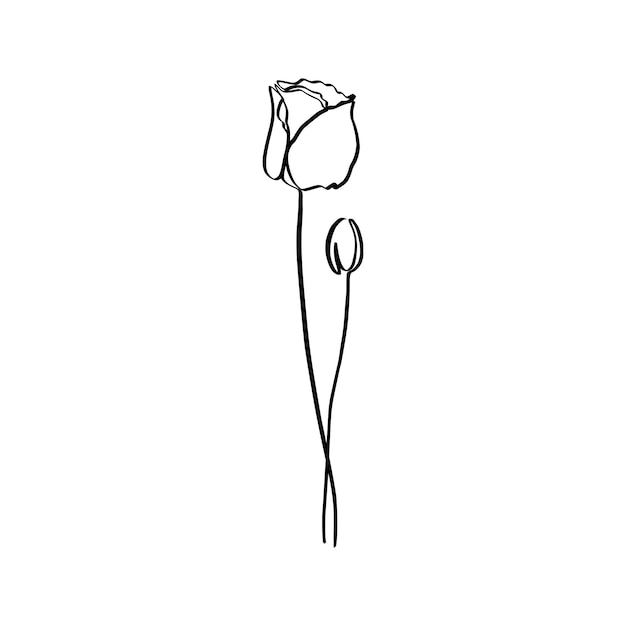 Poppy Flower continuous line drawing. Vector abstract Plant in a Trendy Minimalist Style. For the design of Logos, Invitations, posters, Postcards, prints on t-Shirts.