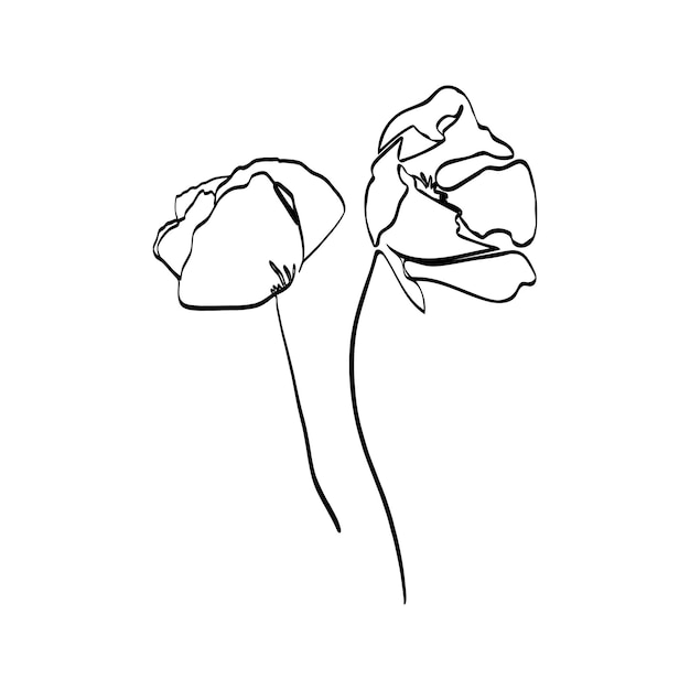 Poppy Flower continuous line drawing. Vector abstract Plant in a Trendy Minimalist Style. For the design of Logos, Invitations, posters, Postcards, prints on t-Shirts.