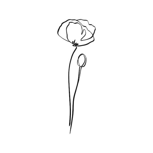 Poppy Flower Is One Line Art. Vector abstract Plant in a Trendy Minimalist Style. For the design of Logos, Invitations, posters, Postcards, prints on t-Shirts.