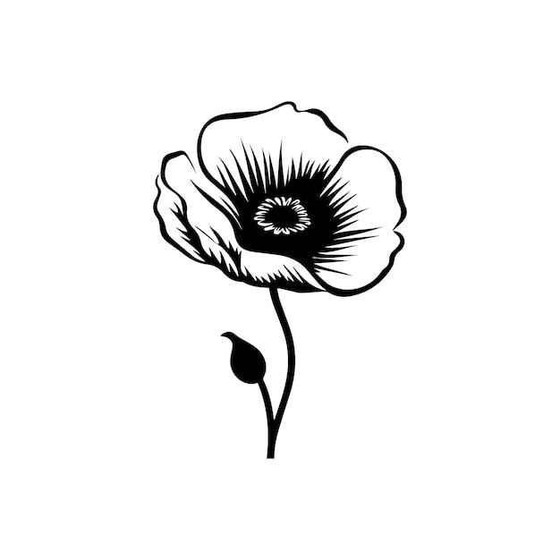 Vector poppy flower vector illustration