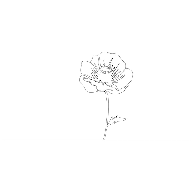 Poppy flowers continuous one line vector art illustration and single outline simple flower design