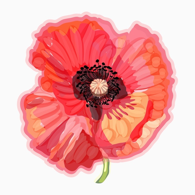 Poppy Watercolor floral illustration Floral decorative element