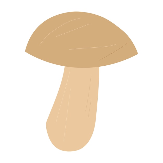 Porcini mushroom vector hand drawn cartoon illustration isolated on white background.