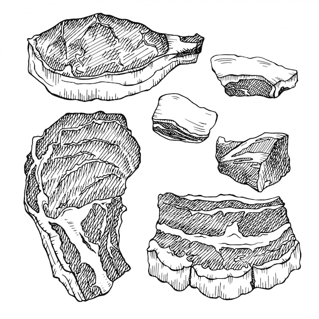 Pork. Hand drawn sketch of meat isolated on a white. Food illustration