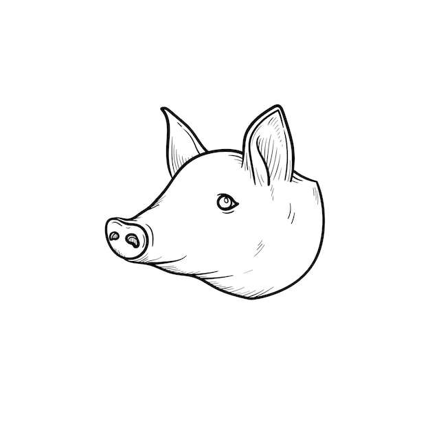 Pork meat hand drawn outline doodle icon. Pig snout vector sketch illustration for print, web, mobile and infographics isolated on white background.