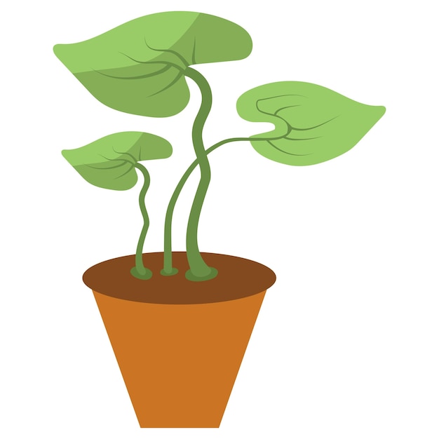 porous clay pot Plant Concept Cachepots vector color icon design