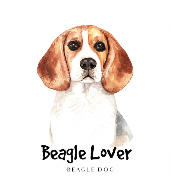 Portrait Beagle dog for printing