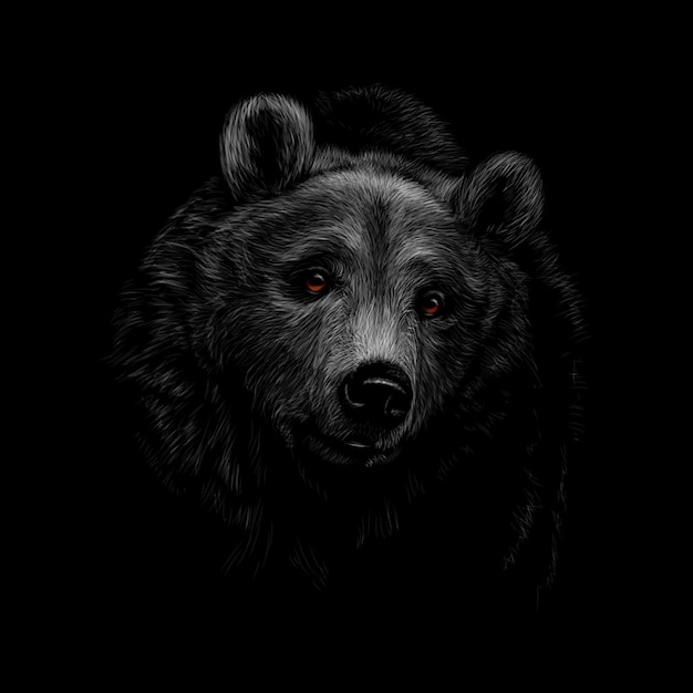 Portrait of a brown bear head on a black background. Vector illustration