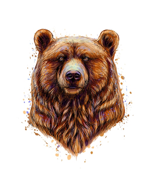 Portrait of a brown bear head from a splash of watercolor, hand drawn sketch.  illustration of paints