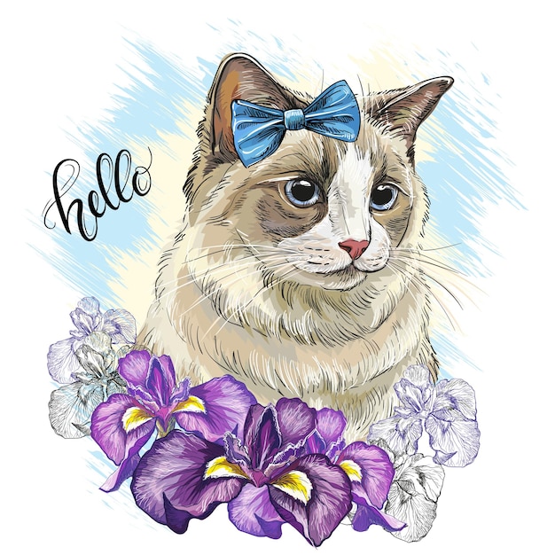 Portrait of a cat and iris flowers vector illustration