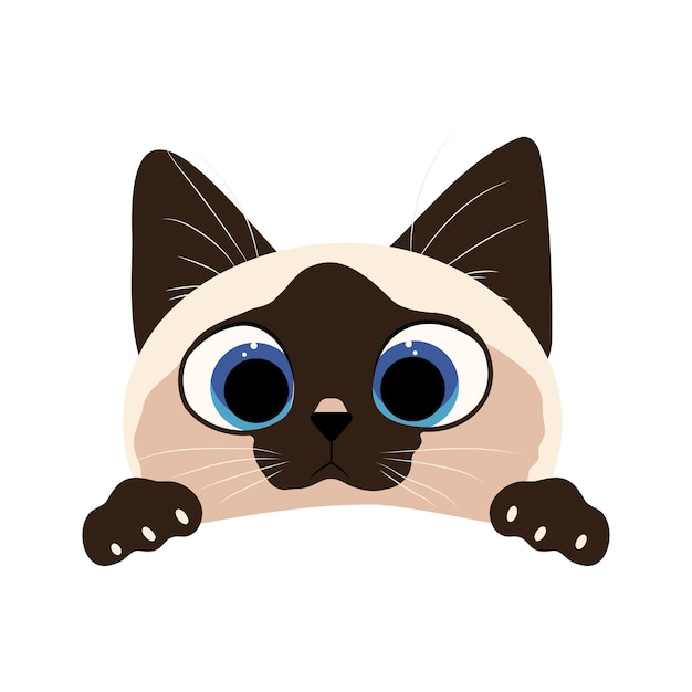 Portrait of a funny Thai kitten vector illustration