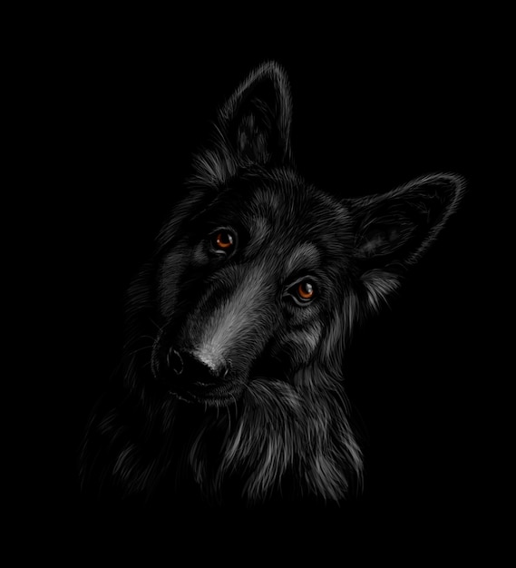 Portrait of a German shepherd dog on a black background. Vector illustration