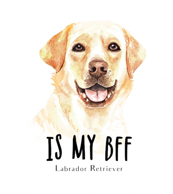 Portrait Labrador Retriever for printing