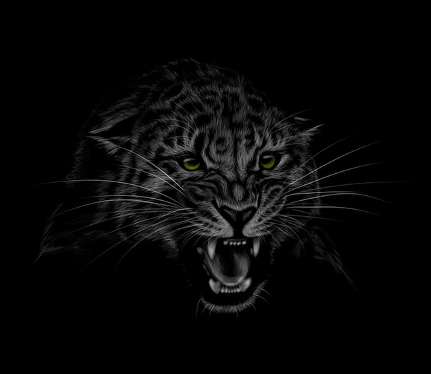 Portrait of a leopard head on a black background. Grinning of a leopard.  illustration