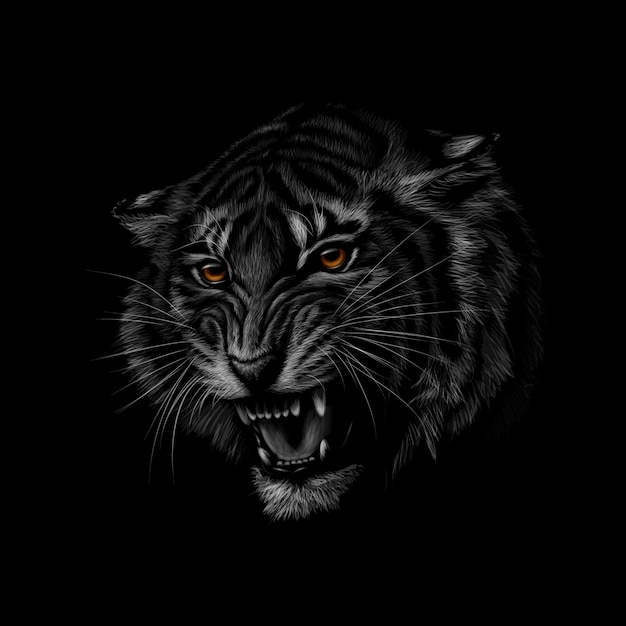 Portrait of a tiger head on a black background.  illustration