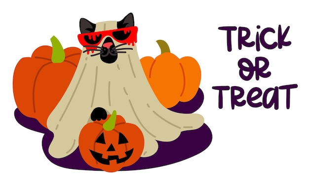 Vector postcard with the inscription trick or treat black cat in sheet and glasses with blood for halloween