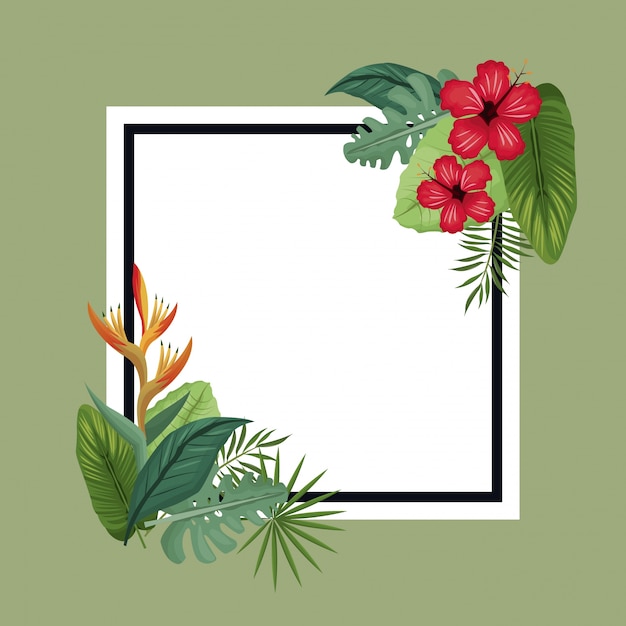 Poster hibiscus and bird of paradise tropical leaves palm 