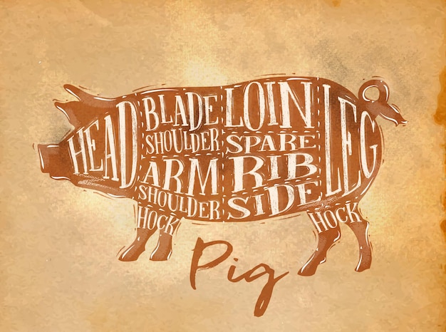 Poster pig pork cutting scheme lettering head blade shoulder arm shoulder loin spare rib side