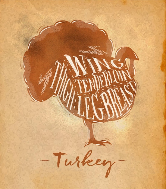 Poster turkey cutting scheme lettering wing, tenderloin, thigh, leg, breast in retro style