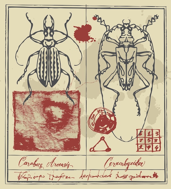 poster with beetles in retro style