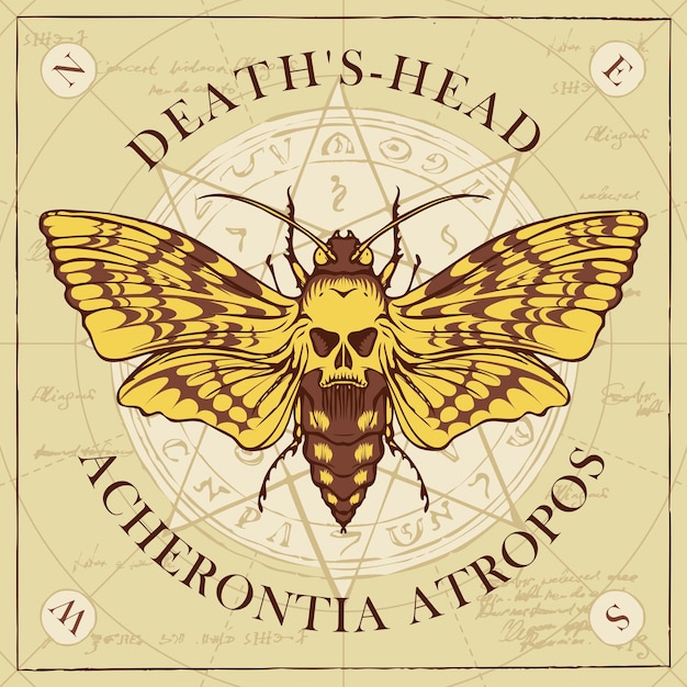 poster with butterfly dead head