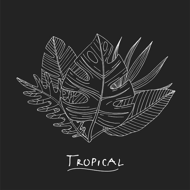 Poster with hand drawn tropical or forest leaves of white sketch on a black chalkboard background