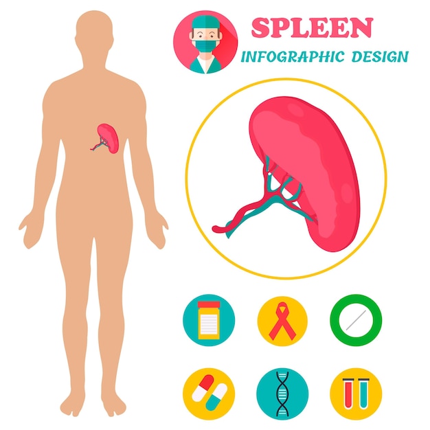 Poster with image of human body with pancreas