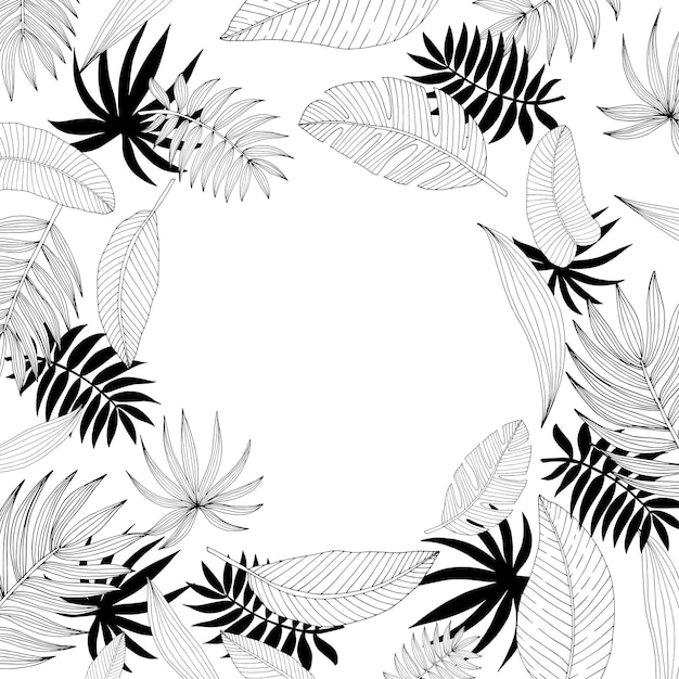 Poster with ornament frame border hand drawn tropical leaves of black sketch on a white chalkboard