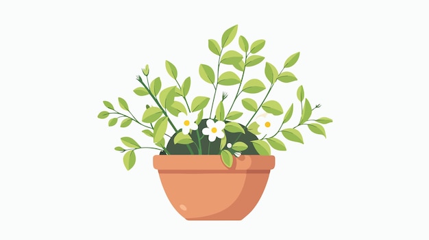 a pot of flowers with a plant in it