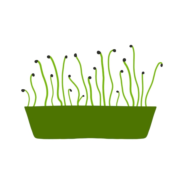 Pot of microgreens Microgreens peas radish onion arugula sunflower beets and others Vector illustration isolated on white background Drawn style Vector illustration