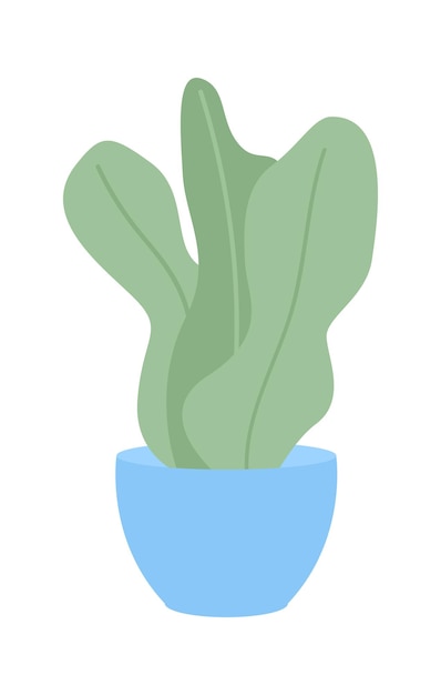 Pot plant with large leaves semi flat color vector object. Editable figure. Full sized item on white