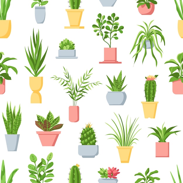 Pot plants seamless pattern. Houseplants, cactus and succulents, garden in pots home interior decor. Scandinavian style floral vector print. Illustration houseplant cactus and succulent