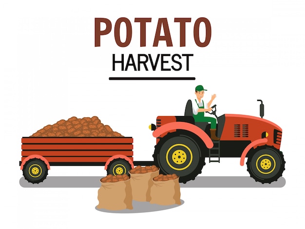 Potato Harvest in Trolley Vector Illustration