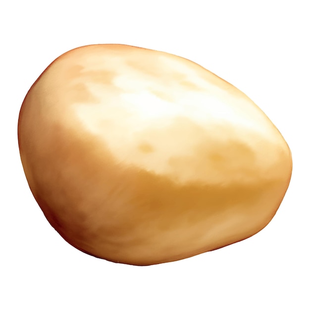 Potato Isolated Hand Drawn Painting Illustration