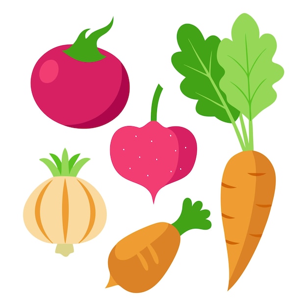 Vector potato pumpkin radish rhubarb vegetables clipart vector art and illustration